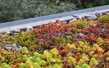 the cost of Yewhedges green roof installation