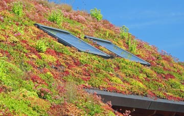 Yewhedges living roof systems